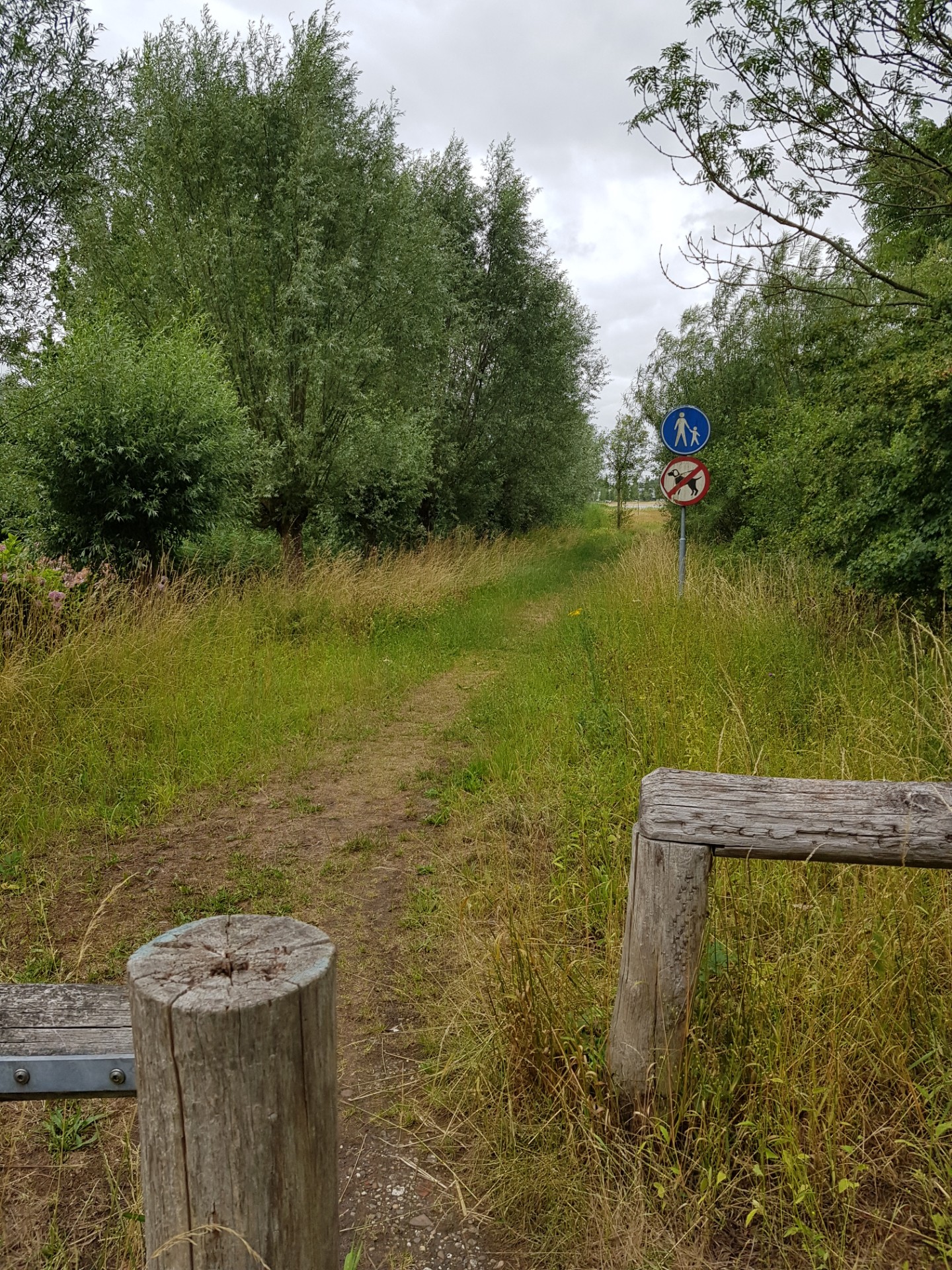 blog-foto
