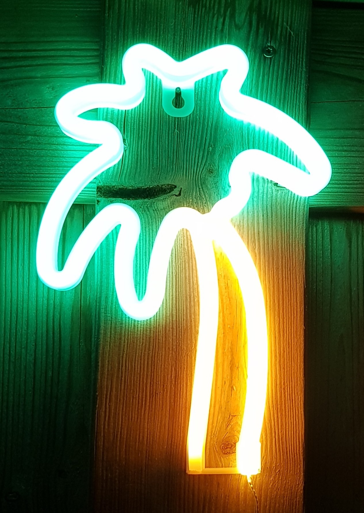 blog-foto